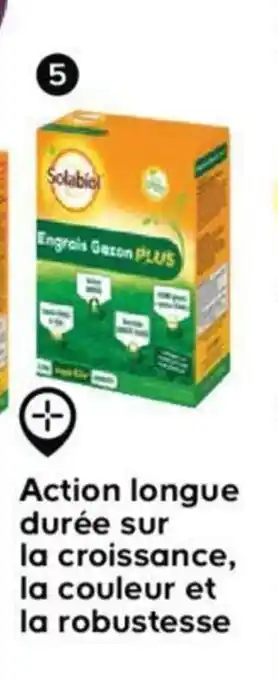 Castorama Engrais spécial gazon offre