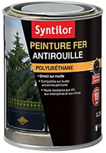 Castorama Peinture fer syntilor ultra protect vert basque 0,25l offre
