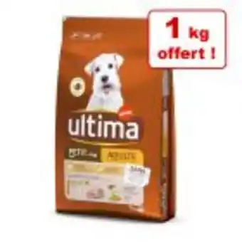 Croquettes ultima 5 / 6 / 11 kg pour chien + 1 kg offert !