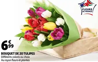 Auchan Bouquet De 20 Tulipes offre