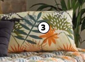 Auchan Coussin offre