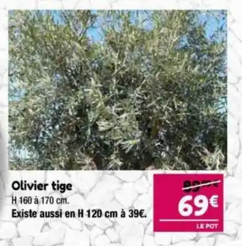 Point Vert Olivier Tige offre