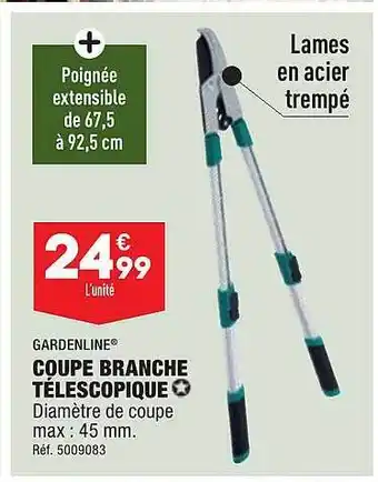 ALDI Coupe branche télescopique gardenline offre
