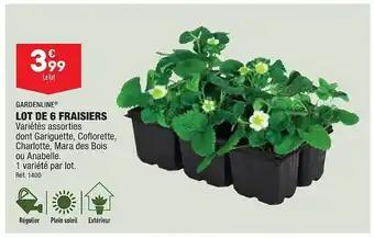 ALDI Lot de 6 fraisiers gardenline offre