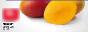 ALDI Mangue offre