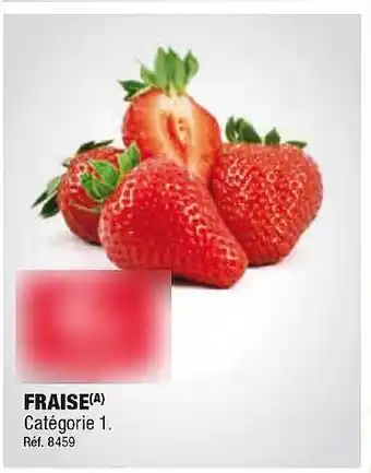 ALDI Fraise offre