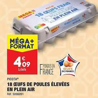 ALDI 18 œufs de poules élevées en plein air picota offre