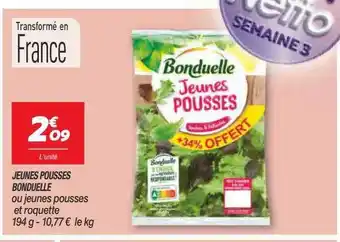 Netto Jeunes pousses bonduelle offre
