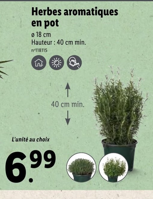 Promo Herbes Aromatiques en Pot chez Lidl