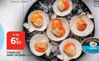 Bi1 Coquilles Saint-Jacques offre