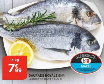Bi1 Daurade Royale offre