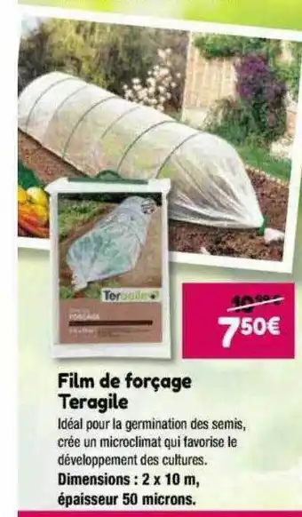 Point Vert Film de forçage teragile offre