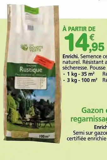 Provence Outillage Gazon regarnissage offre