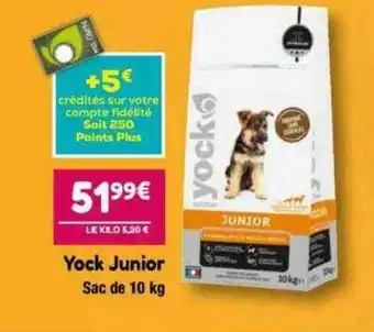 Yock junior