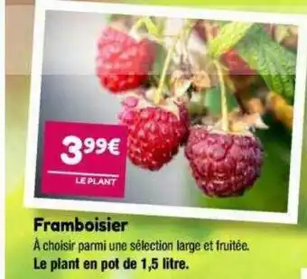 Point Vert Framboisier offre