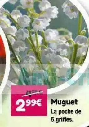 Muguet