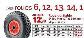 Provence Outillage Roue gonflable ø 300 mm 12 offre