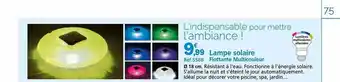 Provence Outillage Lampe solaire flottante multicouleur offre