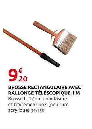 Rural Master Brosse rectangulaire avec rallonge téléscopique 1 m offre