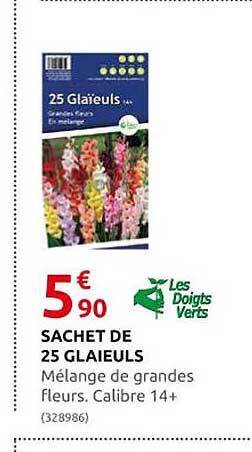Rural Master Sachet de 25 glaieuls offre