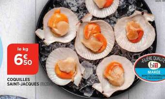Bi1 Coquilles saint-jacques offre