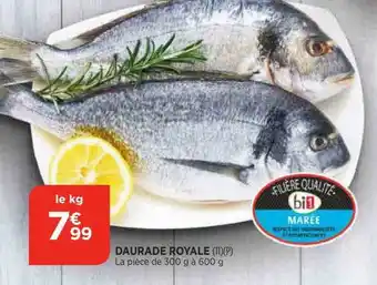 Bi1 Daurade royale offre