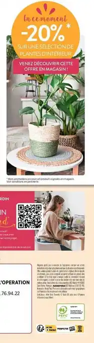Delbard Plantes d'intérieur offre