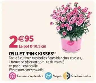 Œillet
