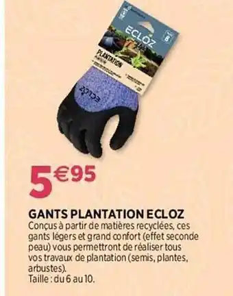 Delbard Gants plantation ecloz offre