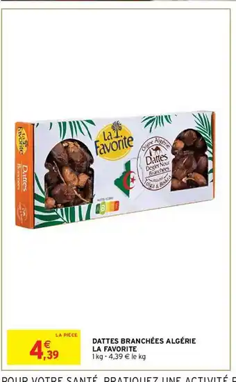 Dattes branchées algérie la favorite