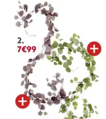 Gifi Guirlande eucalyptus offre