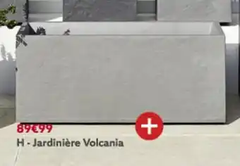 Jardinière volcania