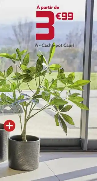 Cache-pot capri