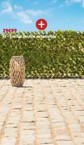 Gifi Treillis feuille extensible offre