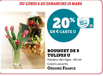 Super U Bouquet de 9 Tulipes U offre