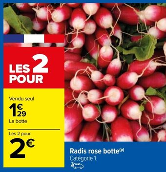 Carrefour Radis Rose Botte offre