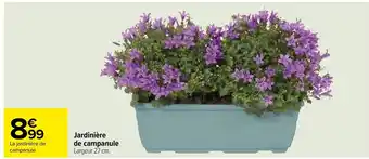 Carrefour Jardinière De Campanule offre