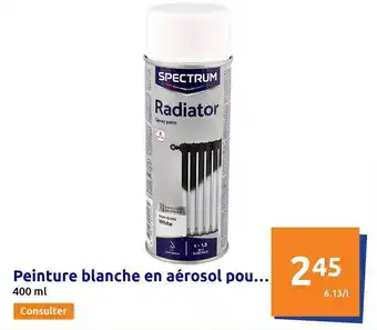 Peinture blanche en aérosol spectrum