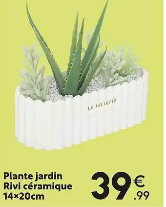 Maxi Bazar Plante jardin rivi céramique 14 x 20 cm offre