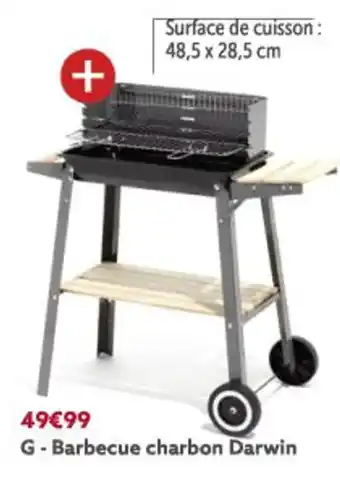 Gifi Barbeque Charbon Darwin offre