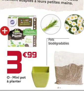 Gifi Mini Pot À Planter offre