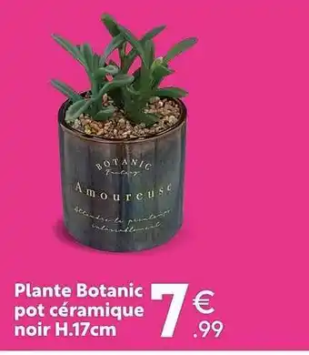 Maxi Bazar Plante botanic pot céramique noir h. 17 cm offre