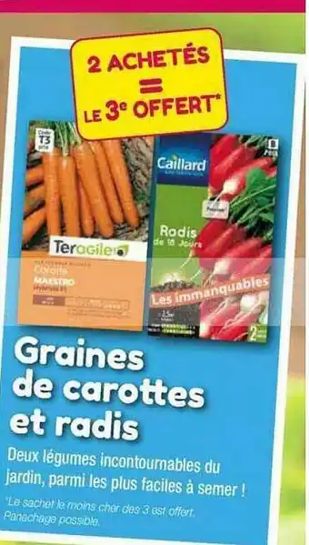 Point Vert Graines de carottes et radis offre