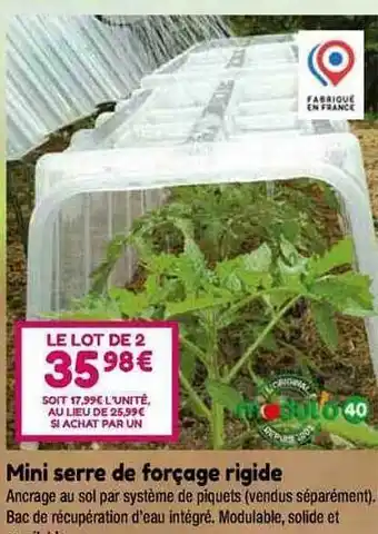 Point Vert Mini serre de forçage rigide offre