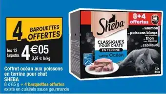 Cora Coffret pour cadeaux sheba offre