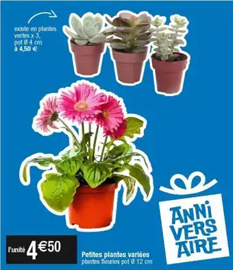 Cora x Carrefour Plantes à fleurs offre