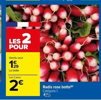 Carrefour Radis rose botte offre