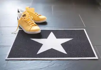 Mr Bricolage Tapis antipoussière et absorbant Star offre