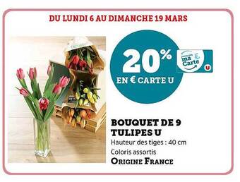 Super U Bouquet de 9 tulipes u offre