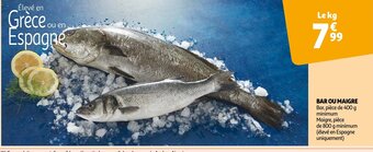 Auchan Bar Ou Maigre offre